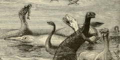 Image from page 139 of "Nature and the Bible. A course of lectures delivered in New York, in December, 1874, on the Morse foundation of the Union theological seminary" (1875) It shows a variety of dinosaurs roaming around or flying in the air